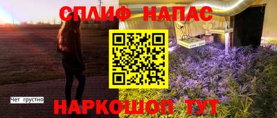 трава Славгород