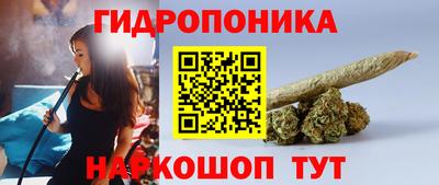 хмурый Сланцы
