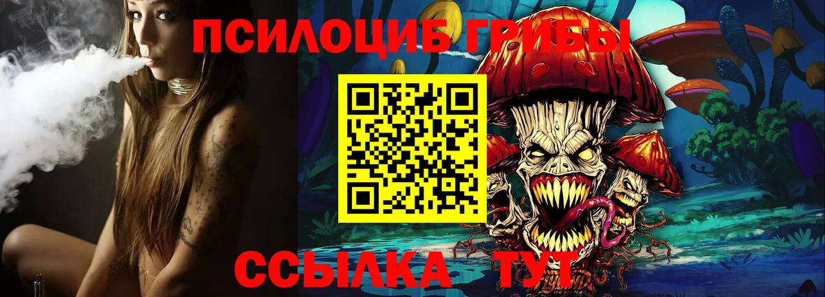 Галлюциногенные грибы Psilocybine cubensis Брянск