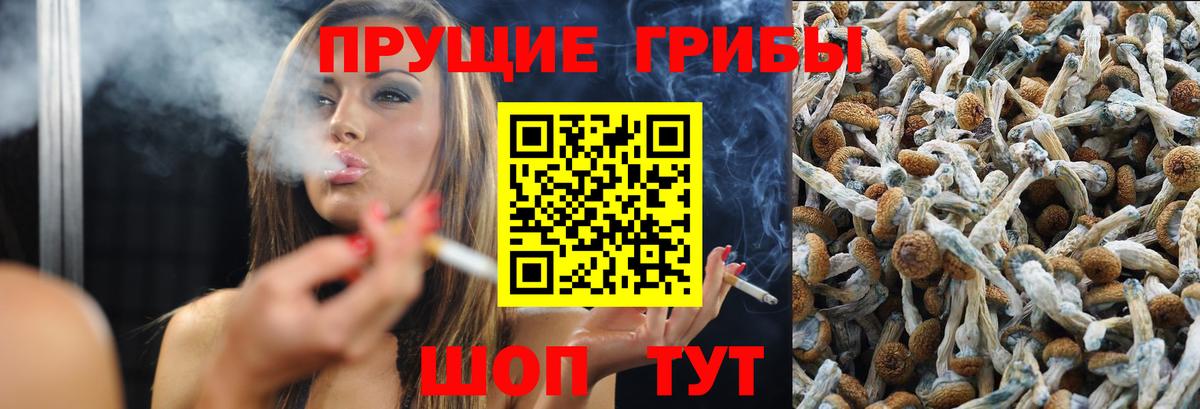 Псилоцибиновые грибы Cubensis  Вход с VPN  Псилоцибиновые грибы Magic Shrooms  Брянск 